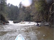 Spring Creek 18